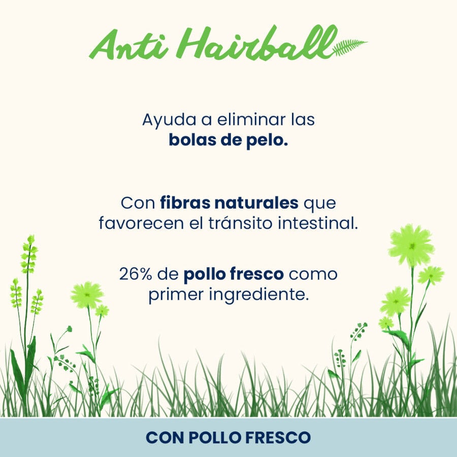2 kg Almo Nature Anti Hairball Pollo pienso para gatos , , large indicador imagen numero 2